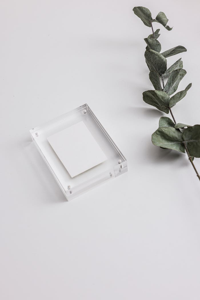 Simple white card mockup beside eucalyptus leaves on a clean white background, ideal for product presentation.